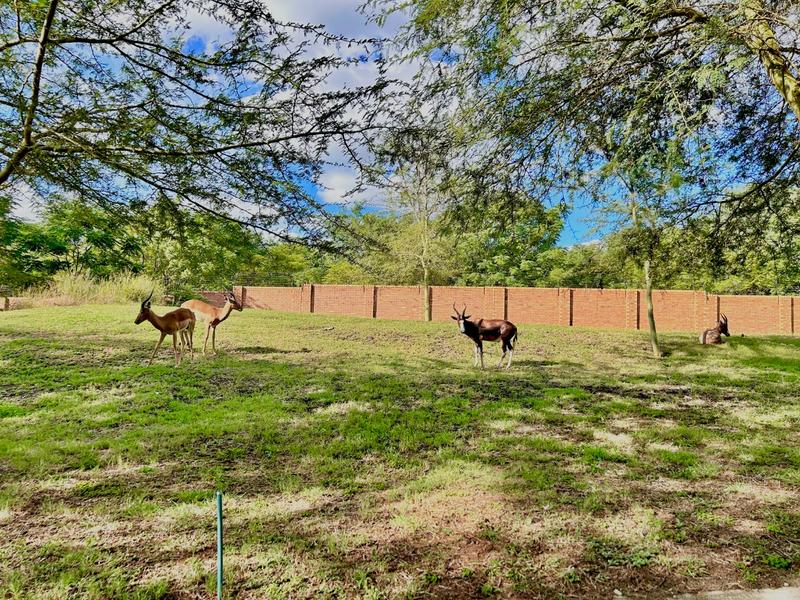 2 Bedroom Property for Sale in Ngwenya River Estate North West